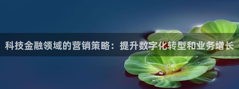 金年会网站下载