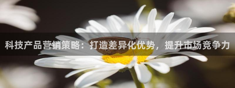 金年会体育app下载官网苹果手机