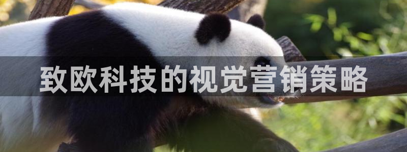 金年会官方入口首页