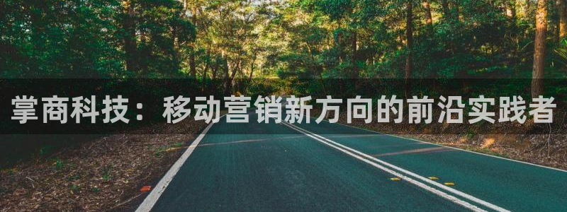 金年会网站下载