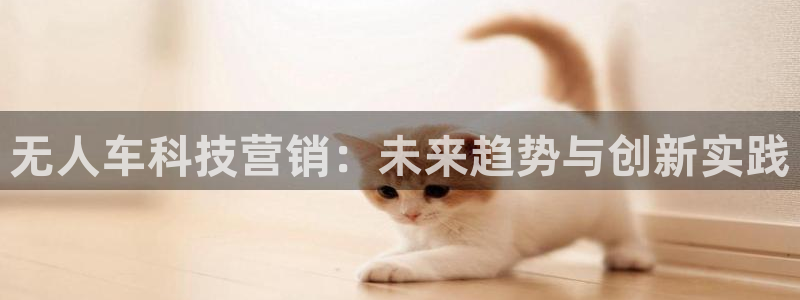 金年会体育app官网下载