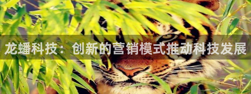 金年会体育在线登陆入口