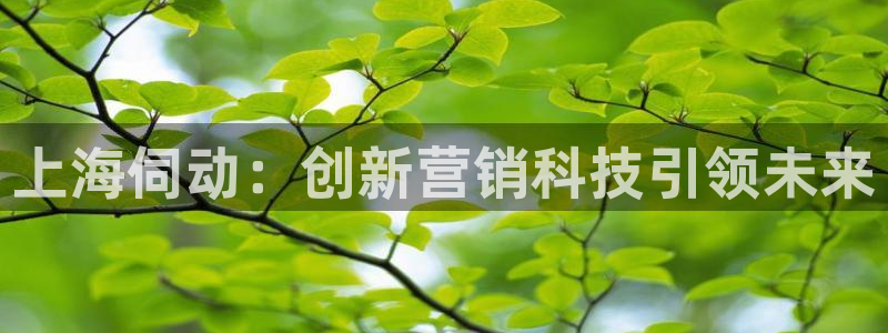 金年会体育平台新地址