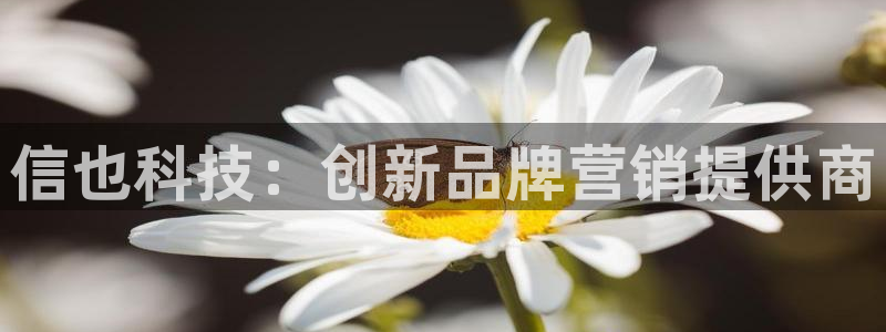金年会官方下载入口