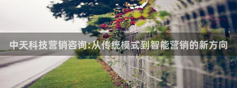 金年会vip打开网络异常怎么办