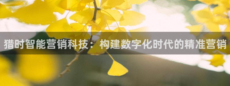 金年会提现不了