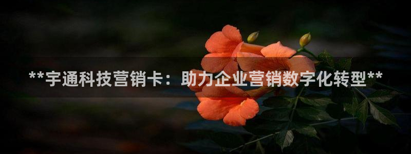 金年会手机网页版