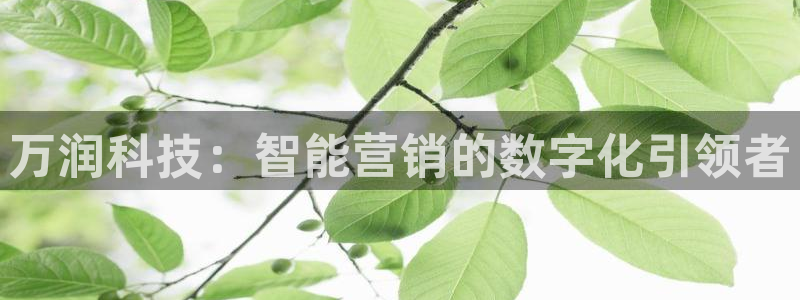 金年会官方网站入口