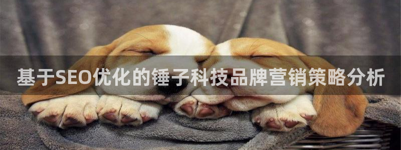 金年会体育app下载官网安卓手机