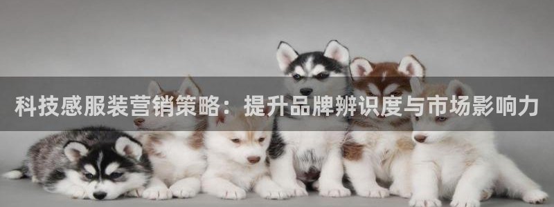 金年会官方在线入口网站2023