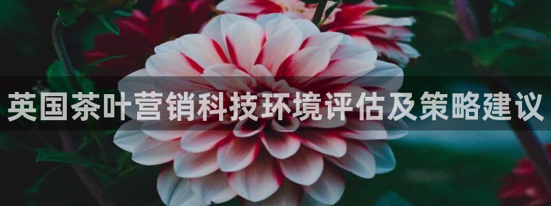 金年会平台官网下载