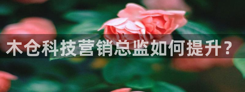 金年会在线入口