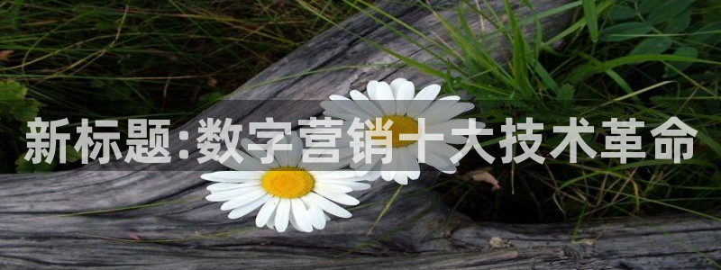 金年会体育出款审核七天