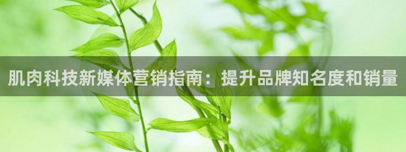 金年会信誉至上