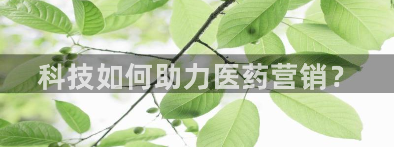 金年会体育app最新官网下载安装