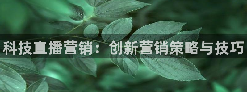 金年会体育全站