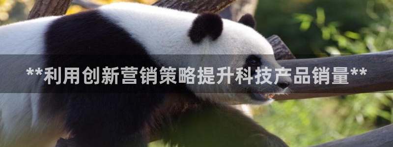 金年会金字招牌下载