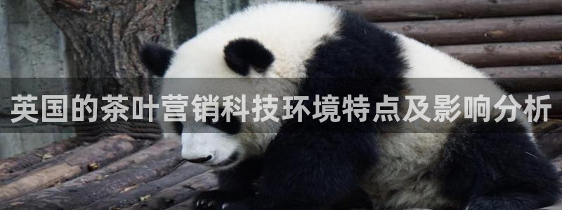 金年会APP官方网站