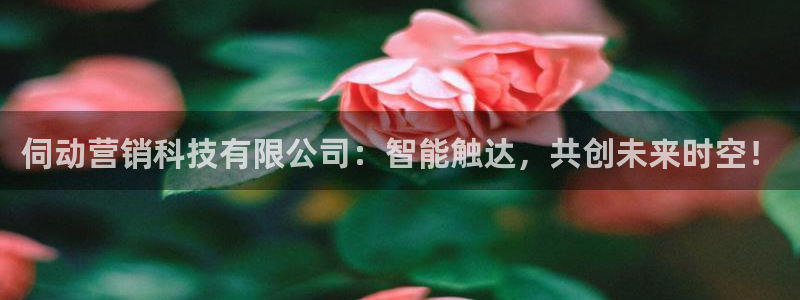 金年会体育综合App
