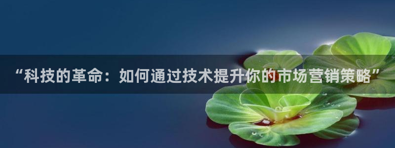 金年会体育如何