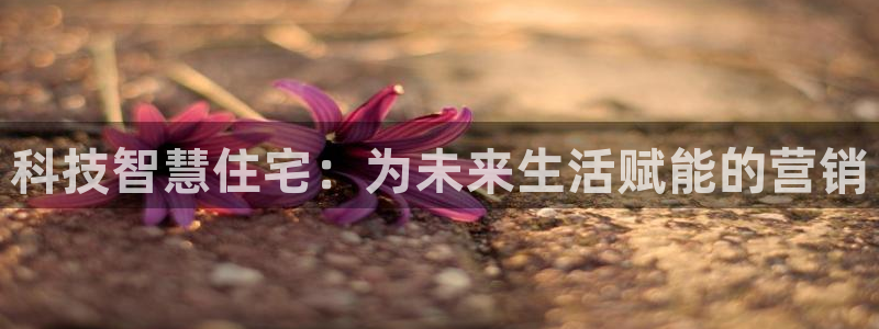 金年会体育如何