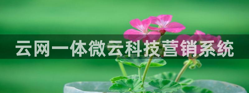 金年会体育娱乐