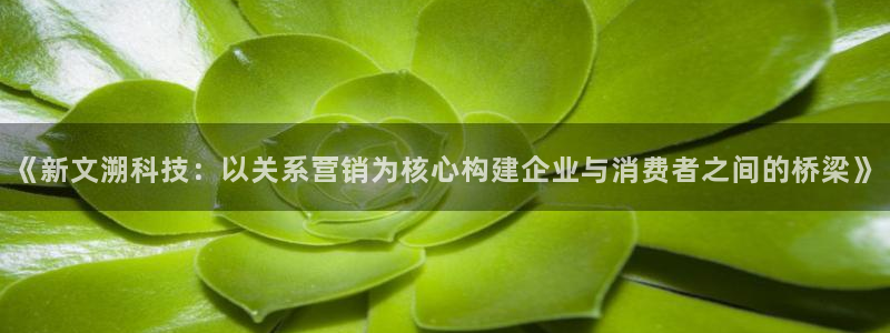金年会电子平台