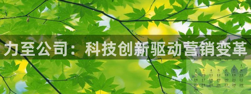 金年会app官方网站入口