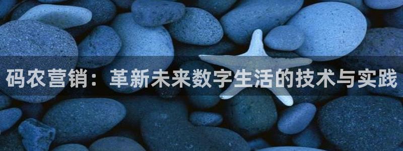 金年会体育平台新地址