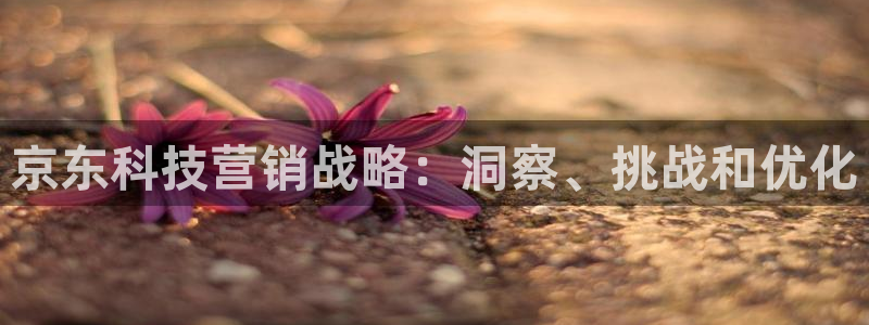 金年会 金字招牌诚信至上欢迎您