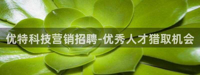 金年会金字招牌app下载