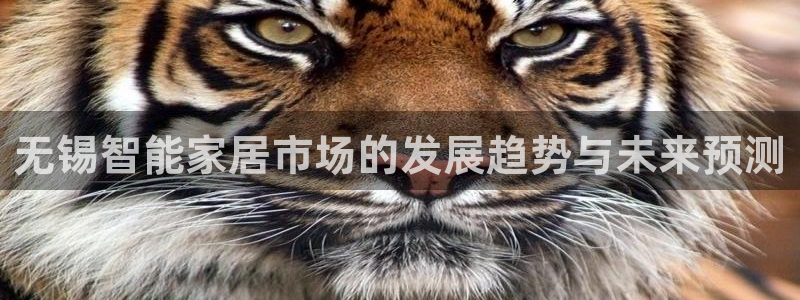金年会电子游戏app官方入口网站