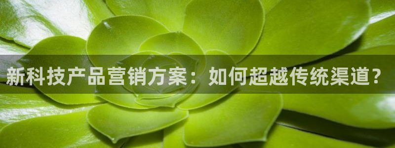 金年会是正规平台吗
