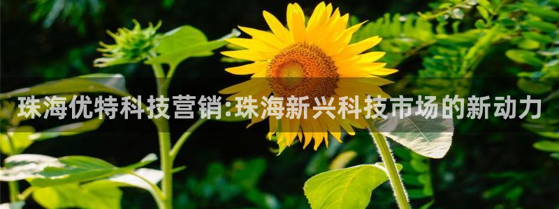 金年会体育app下载安装