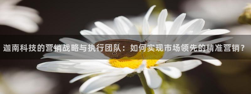金年会金字招牌入口