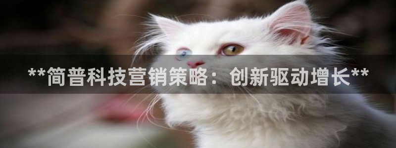 金年会网址导航下载安装