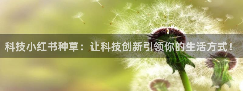 金年会体育平台新地址
