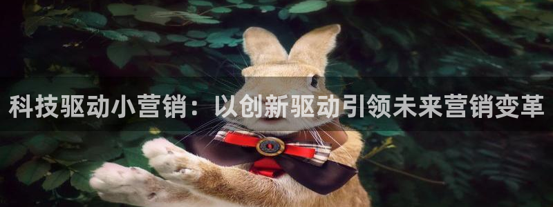 金年会网站平台怎么样