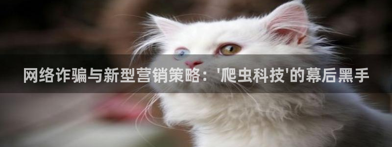 金年会体育竞彩app