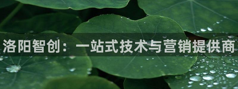 金年会官方娱乐app下载安卓