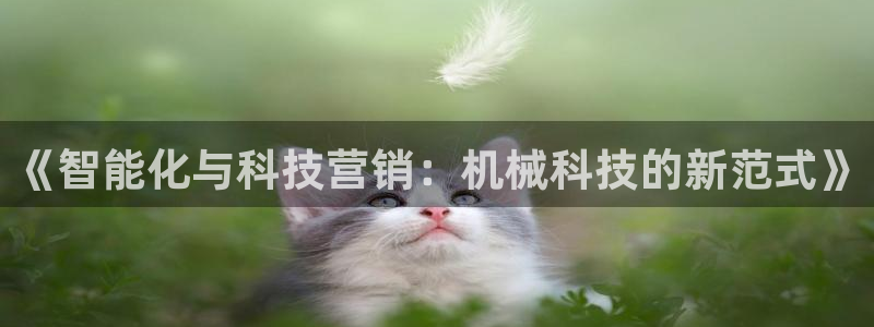 金年会网站洗黑钱