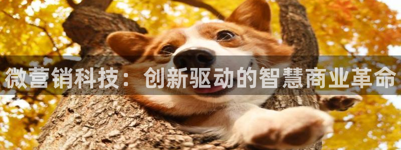 金年会赌博