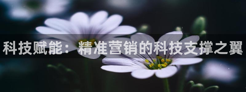 金年会下载安卓
