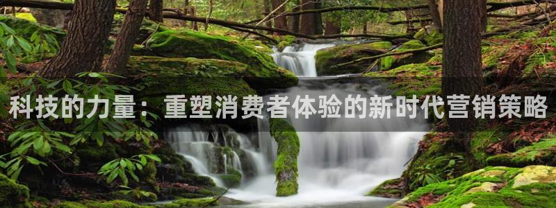 金年会 金字招牌诚信至上在线