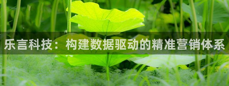 金年会app是不是钓鱼软件