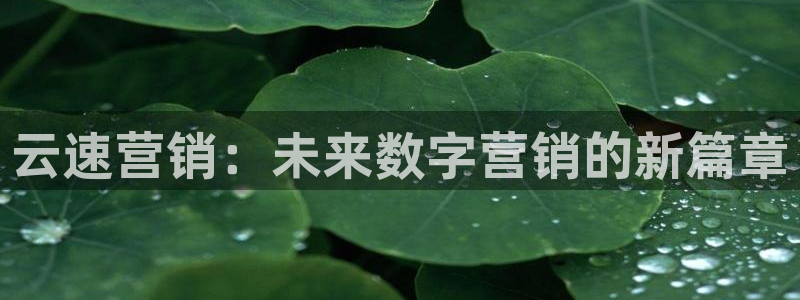 金年会电子游戏app官方网站