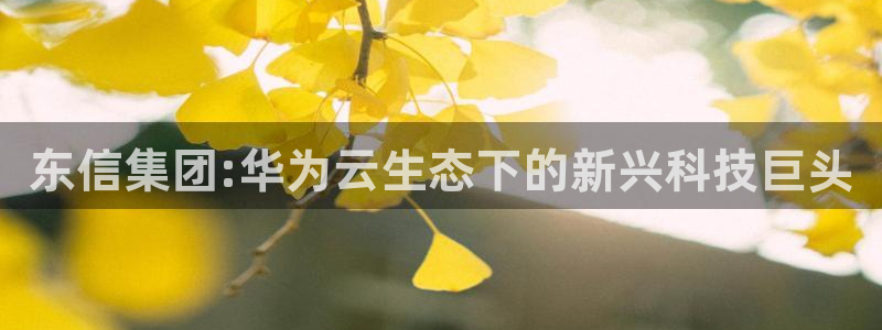 金年会是不是黑平台