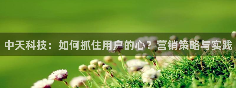 金年会电子平台