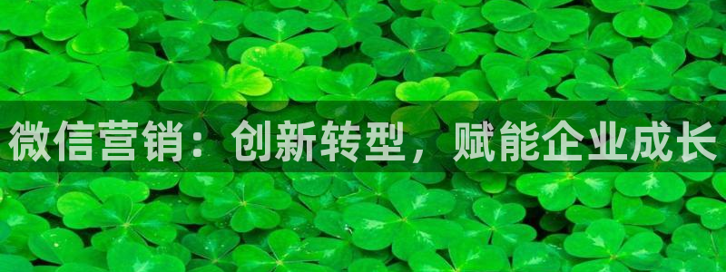 金年会体育官方app下载