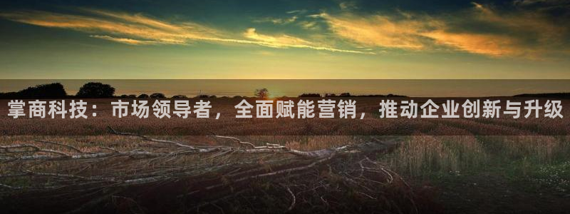 金年会体育app下载官网